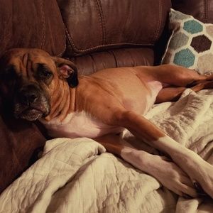 Meet your Posher, Barbara